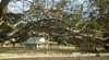 Blueslate cottage
