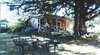 Bygone Beautys Cottages - The Cottage