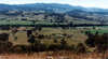 Mansfield Barrington