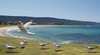 Bulli Beach House