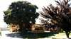 Centrally Located 2 Bedroom Unit