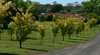 Creature Comforts B & B