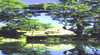 Waterside Vacation Apartment