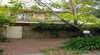 Cottage Storeys - Campsie