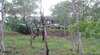 PELL MELL Farmstay