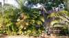 Malabar Holiday Apartment