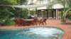 ArafuraBlue Holiday House