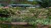 Granite Gardens & Luxury Cottages