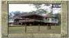 Magpie Creek Thoroughbred Farmstay
