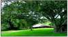Katandra Mountain Farm House