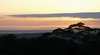 Mount Tamborine Seaview Treehouses