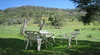 Cooinda Cottage on Glenoak Farm