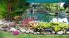Daintree Wild B & B