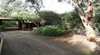 Banksia Beach House