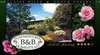 Summertown Homestead Bed & Breakfast
