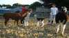 Talbot Hill Farm B & B