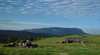 Helvetia Retreat