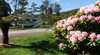 Zeehan Treasure Island Caravan Park
