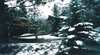 Moosehead and Reindeer Lodges