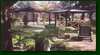 Carawatha Gardens