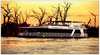 Aaah! Willandra - Pure Pleasure Houseboat