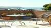 Black Dolphin Beach Penthouse