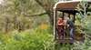Balingup Jalbrook Rosella & Ibis spa cottages