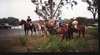 Beryls Riding School