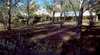 REDGUM HILL Bed & Breakfa
