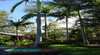 Hidden Valley Cabins