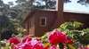 Classic Cottages At Port Arthur