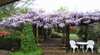 Maple Grove B&B  Of Yackandandah