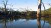 Riverzedge Retreat