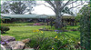 Bearded Dragon Country Lodge