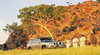 Alice Springs Holidays