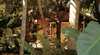 Rum Jungle Bungalows