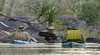 Gecko Canoeing and Trekking