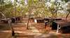 Dreamtime Safaris in Central Arnhem Land