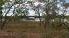 Bird Billabong