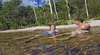 Tjaynera / Sandy Creek Falls