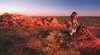 Kunjarra / The Pebbles