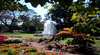 George Brown Darwin Botanic Gardens