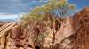Ochre Pits