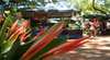 Nightcliff Markets