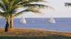 East Point Reserve