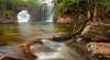 Florence Falls