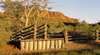 Illamurta Springs Conservation Reserve