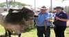 Royal Darwin Show