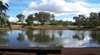 Gemtree Caravan and Tourist Park