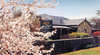 Mintaro Hideaway